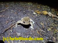 /home//u458753944/public_html/sourcegallery///////McKaig Nature Center/2020-09-27/P9270683.JPG